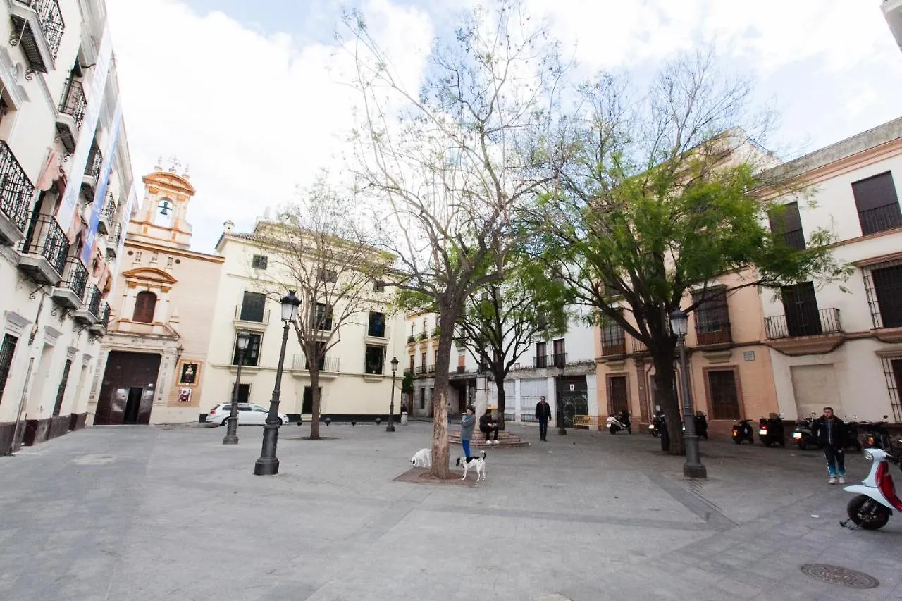Apartment Gotoseville Molviedro Suites