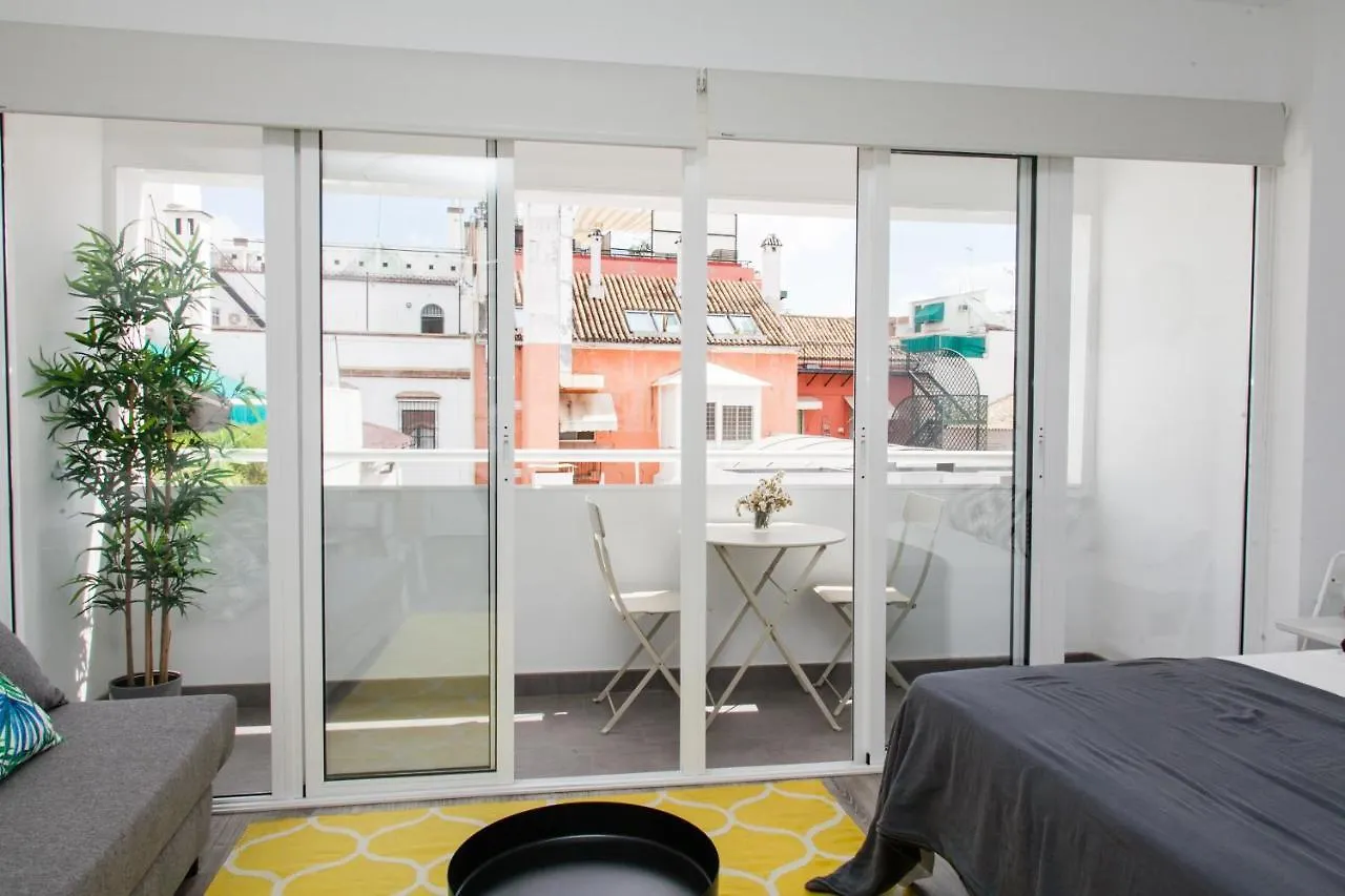 Apartament Gotoseville Molviedro Suites